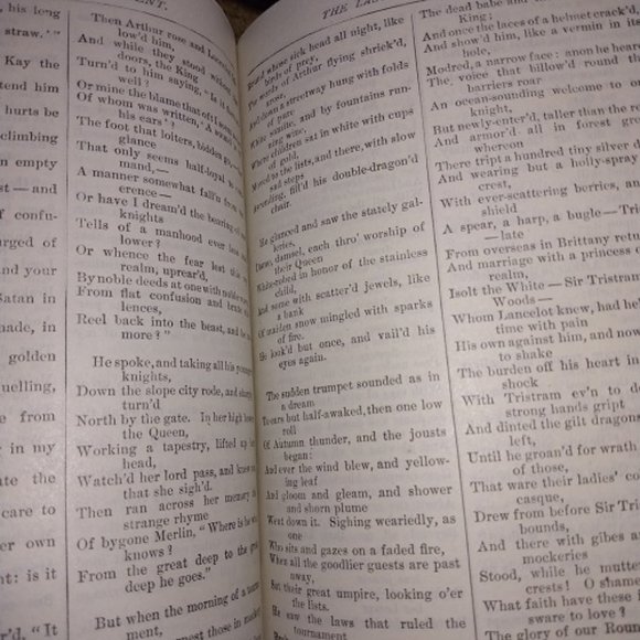 The Poems Of Alfred Lord Tennyson copyright 1900 Embossed Moroccan Leather Boxed - Picture 7 of 12